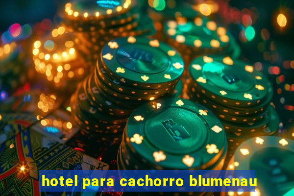 hotel para cachorro blumenau