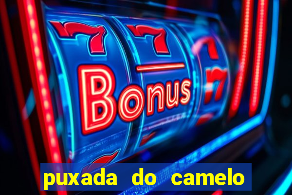 puxada do camelo no jogo do bicho