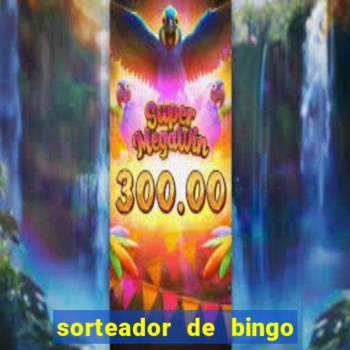 sorteador de bingo 90 bolas online