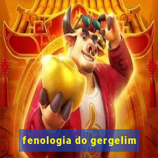 fenologia do gergelim