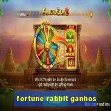 fortune rabbit ganhos