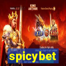 spicybet-3.com